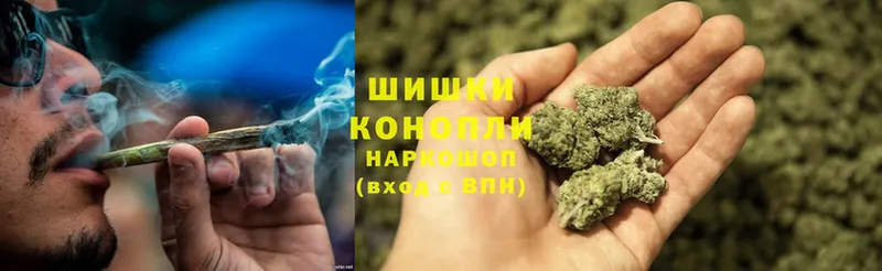 купить наркотики цена  Тосно  МАРИХУАНА White Widow 